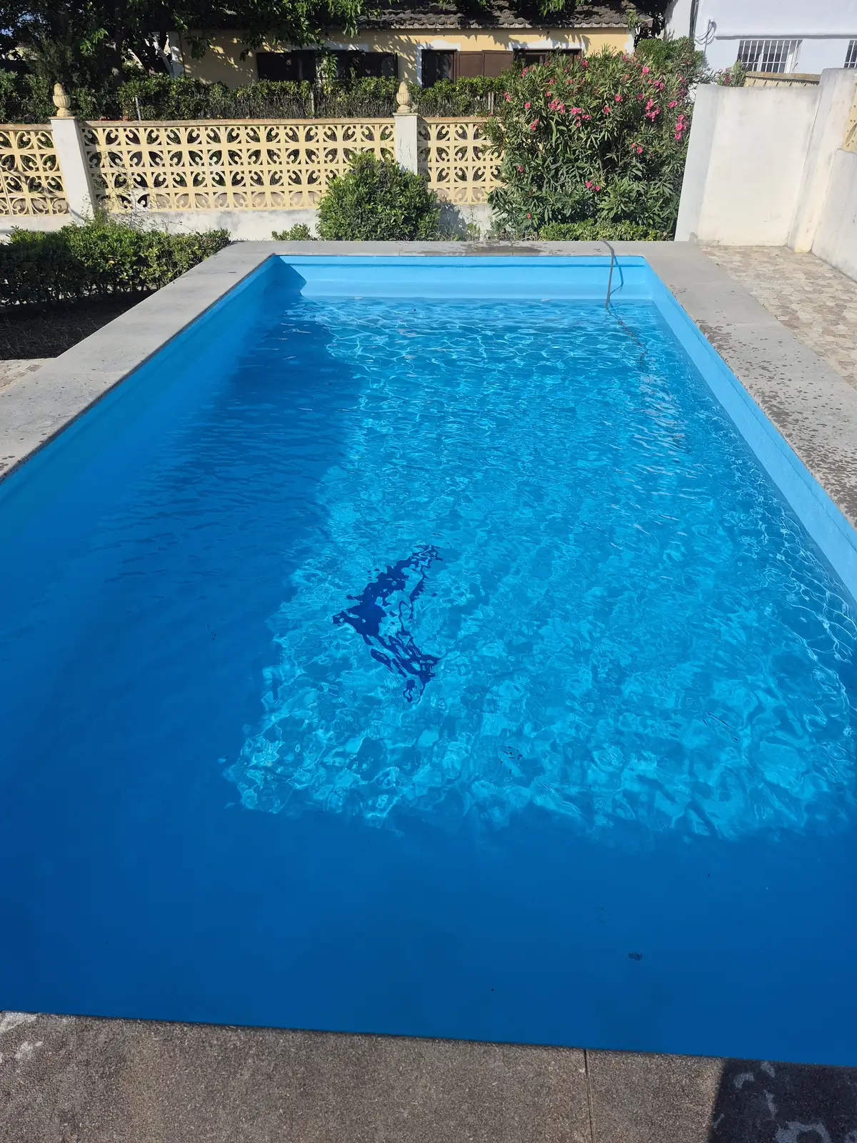 Piscina de Oliva llena con acabado azul renovado y motivo de delfín visible bajo el agua